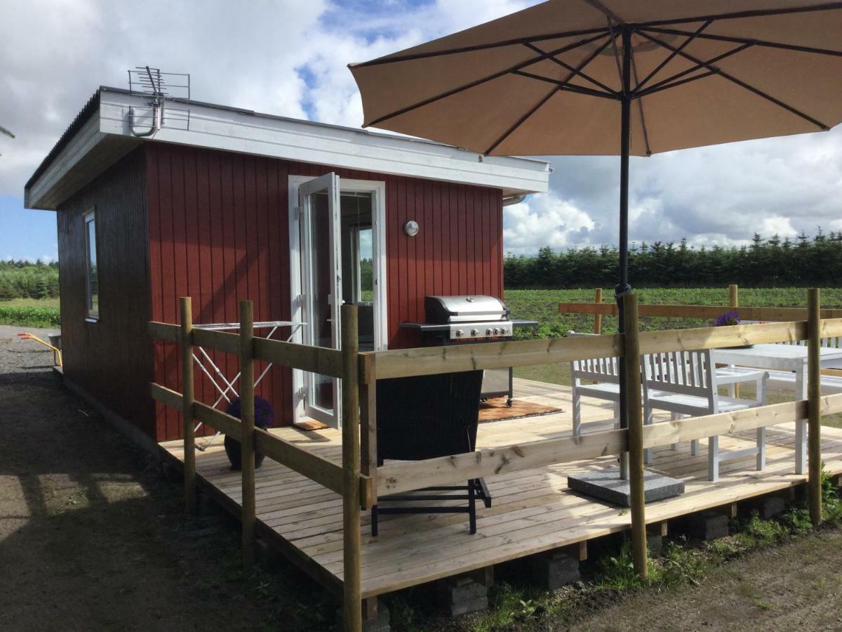 Feriehytten Honsehuset Villa Løkken Eksteriør billede